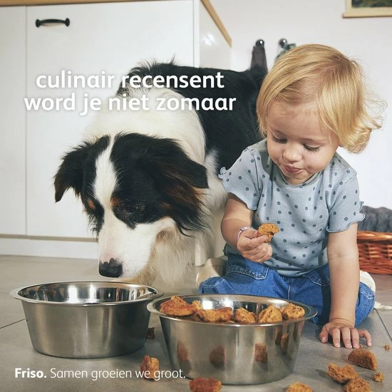 Friso 2 Babyvoeding - Opvolgmelk - 6 Tot 10 Maanden - 700g - Doos 13 Friso 2 Babyvoeding - Opvolgmelk - 6 Tot 10 Maanden - 700g - Doos - Afbeelding 11
