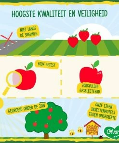 Olvarit Fruithapje 6+ Maanden - Banaan Appel Zuivel - 6 X 200g -Sophie Shop 550x550 400