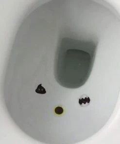 Toiletsticker.com Zindelijkheidstraining Stickers Kind - 3 Stickers -Sophie Shop 550x550 727