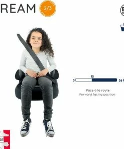 Nania DREAM Flamingo - Auto Zitverhoger - Groep 2 En 3 - Vanaf Ong. 3 Jaar - Roze -Sophie Shop 550x575 2