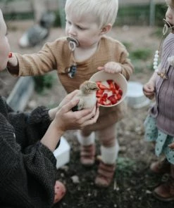 Siliconen Kommen - Mushie - Woodchuck - Set 2 -Sophie Shop 550x737