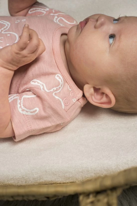 Jollein Rompertje Met Korte Mouw Octopus Pink Met Witte Print – Maat 50/56 - Biologisch Katoen Met Elastaan 5 Jollein Rompertje Met Korte Mouw Octopus Pink Met Witte Print – Maat 50/56 - Biologisch Katoen Met Elastaan - Afbeelding 3